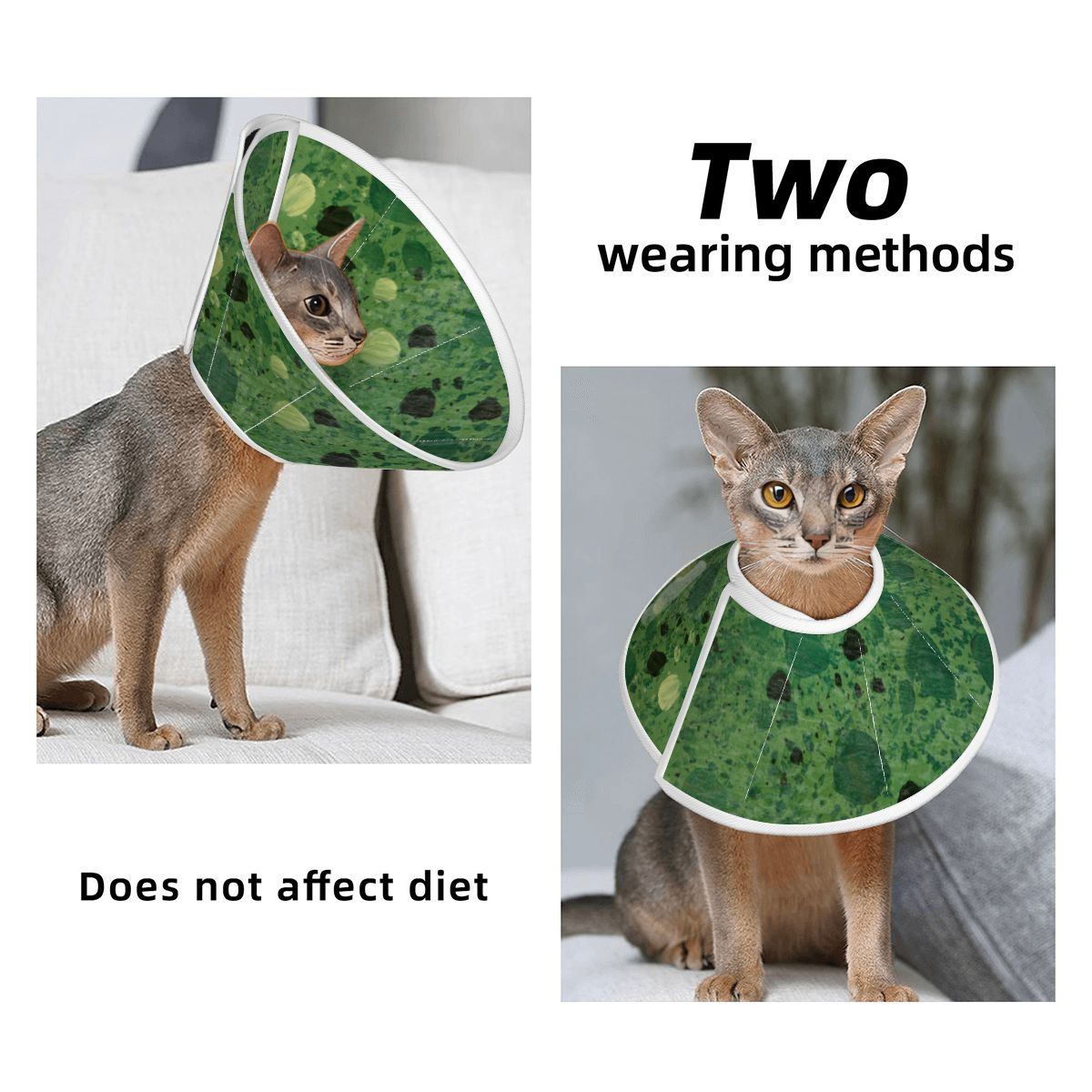 Sebastian & Clementine Green Painting Pet Elizabethan Collar