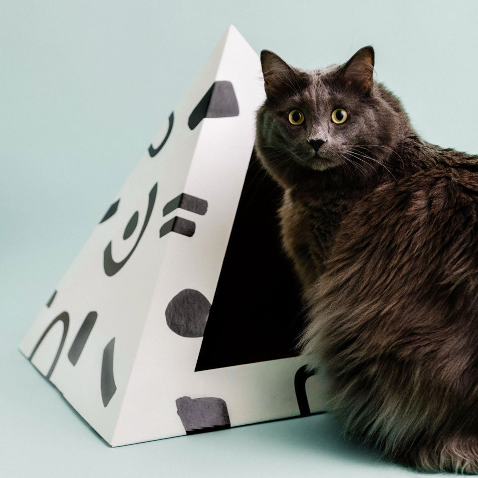 'Doodle' Cardboard Cat Pyramid