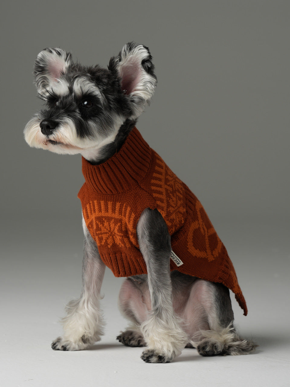 Pehom | Pretzel Pet Sweater - Tofee Orange