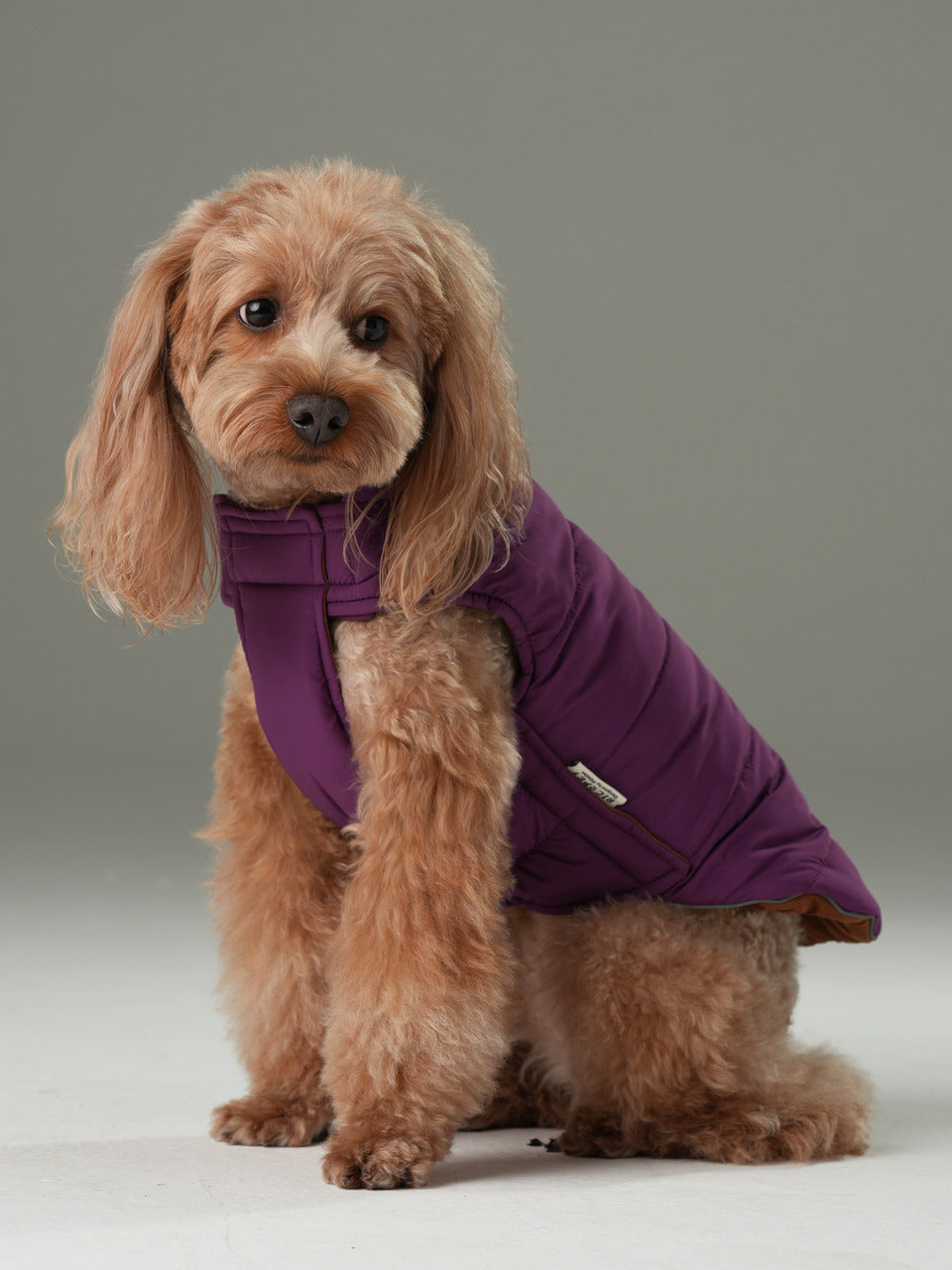 Pehom | Reversible Dog Vest Jacket - Purple Caramel