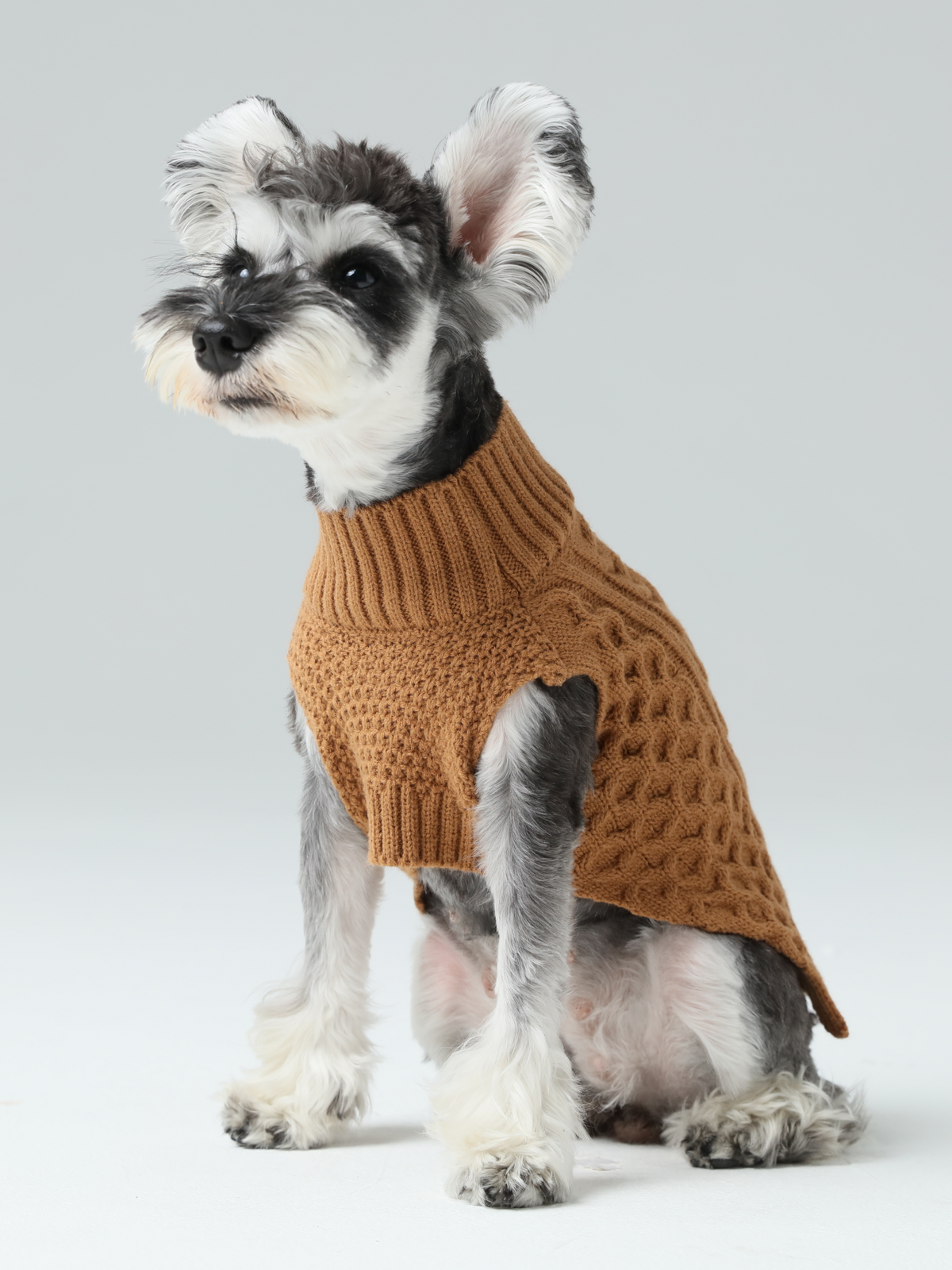 Pehom | Pet Sweater Vest - Toffee Orange
