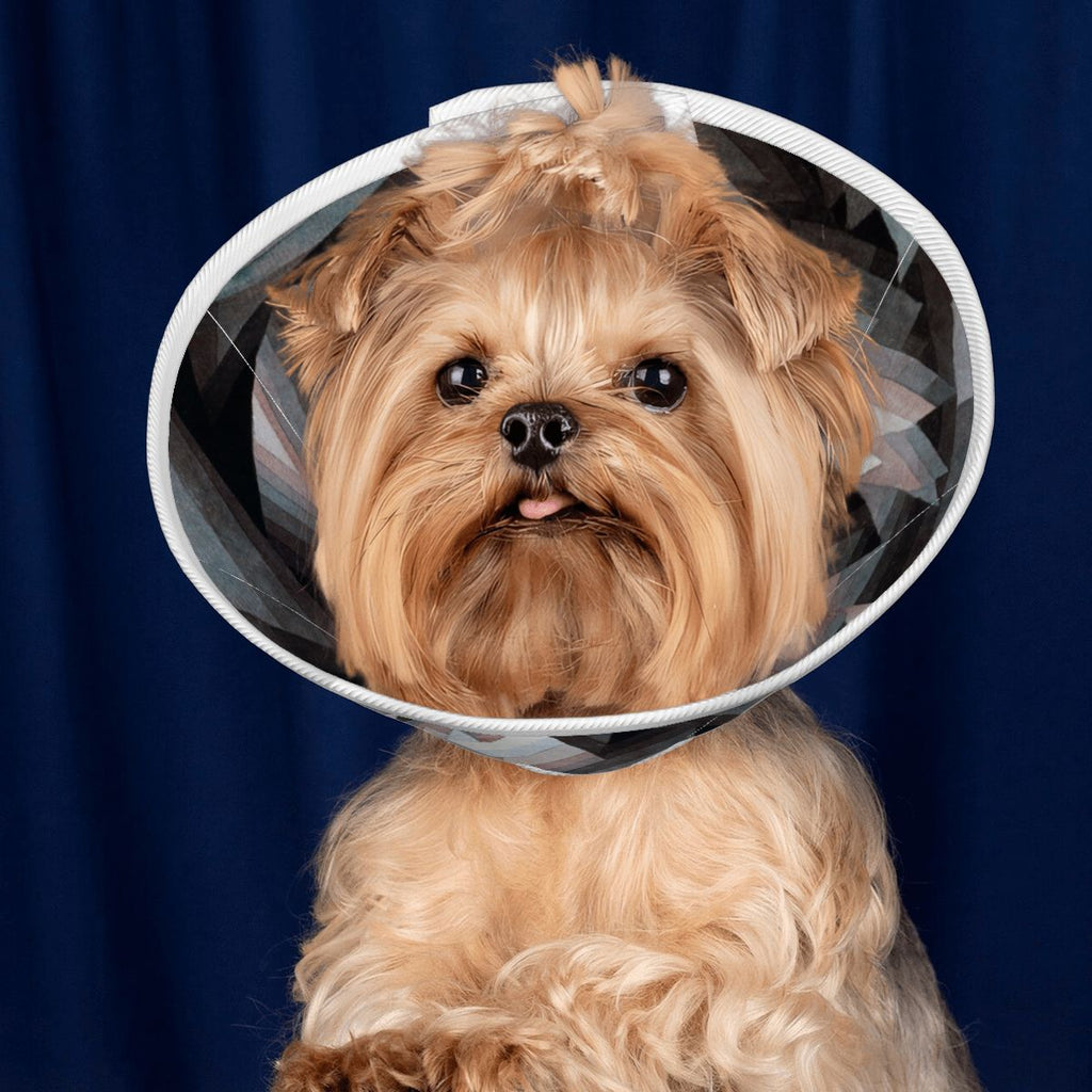 Sebastian & Clementine Crystal Gradation Pet Elizabethan Collar