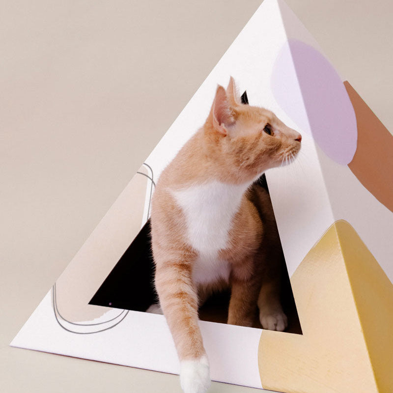 'Abstract' Cardboard Cat Pyramid