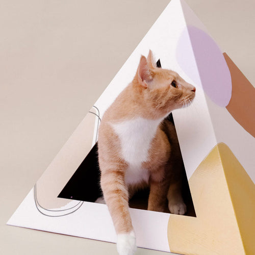 'Abstract' Cardboard Cat Pyramid