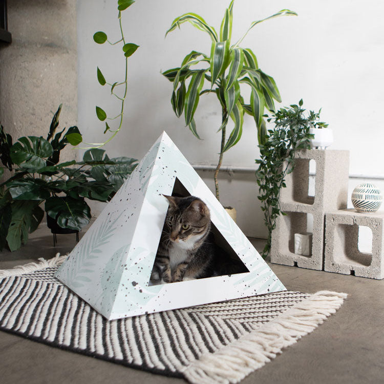 'Oasis' Cardboard Cat Pyramid