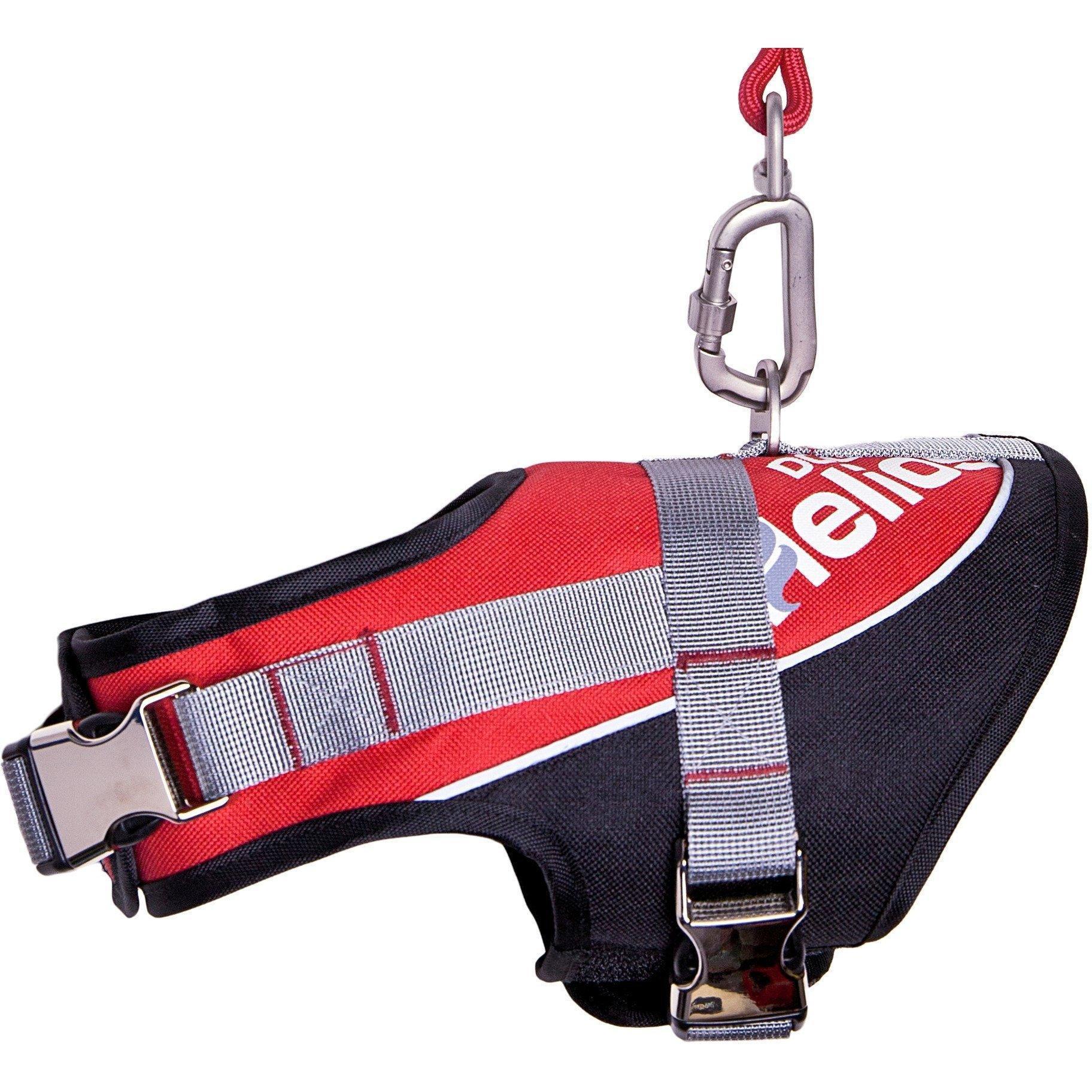 Dog Helios® 'Bark-Mudder' 2-in-1 Reflective and Adjustable Sporty Dog Harness and Leash