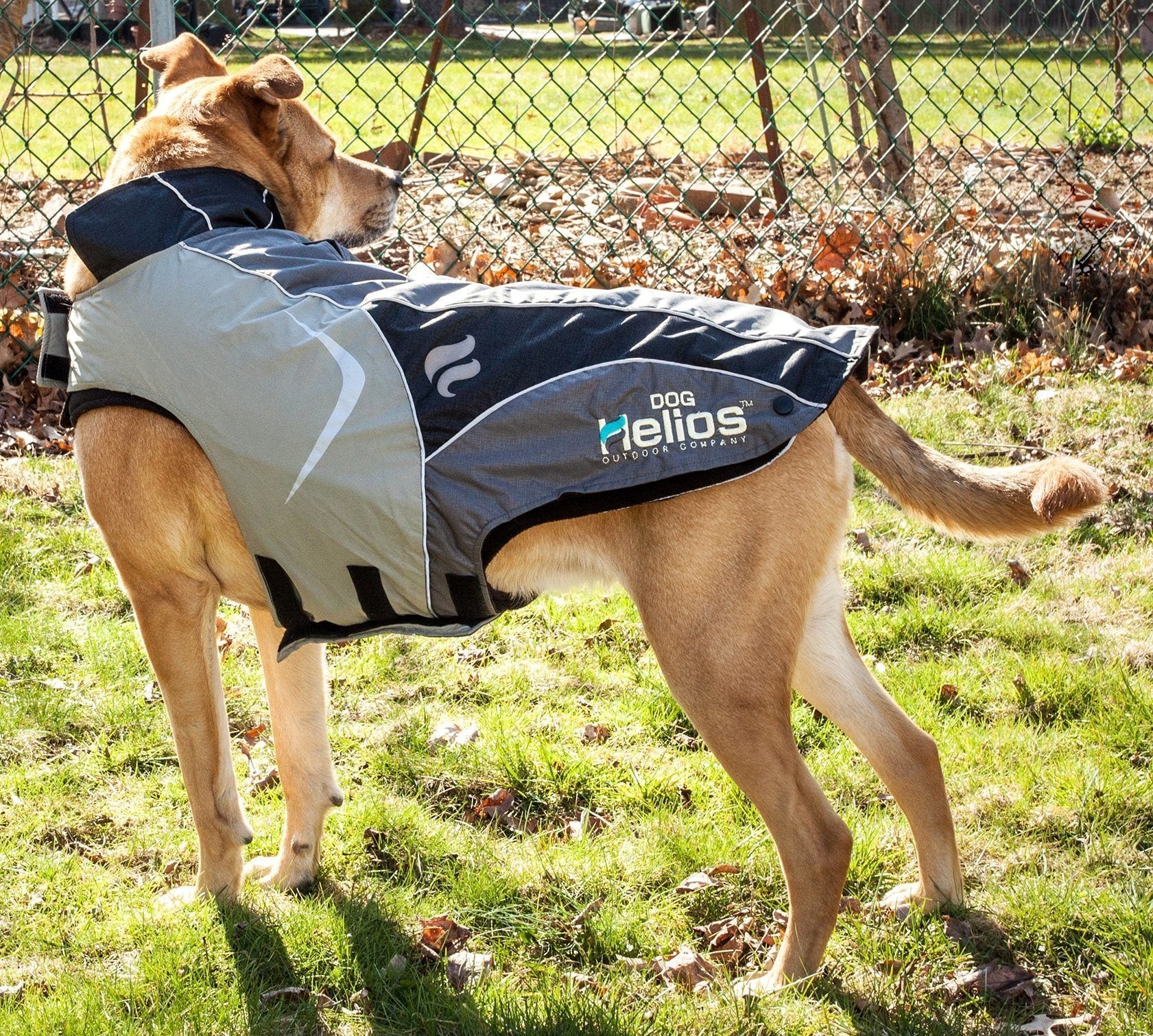 Dog Helios® Lotus-Rusher 2-in-1 Dual-Removable Layered Performance Dog Jacket