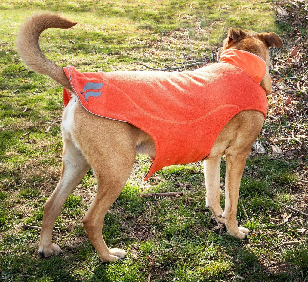 Dog Helios® Lotus-Rusher 2-in-1 Dual-Removable Layered Performance Dog Jacket