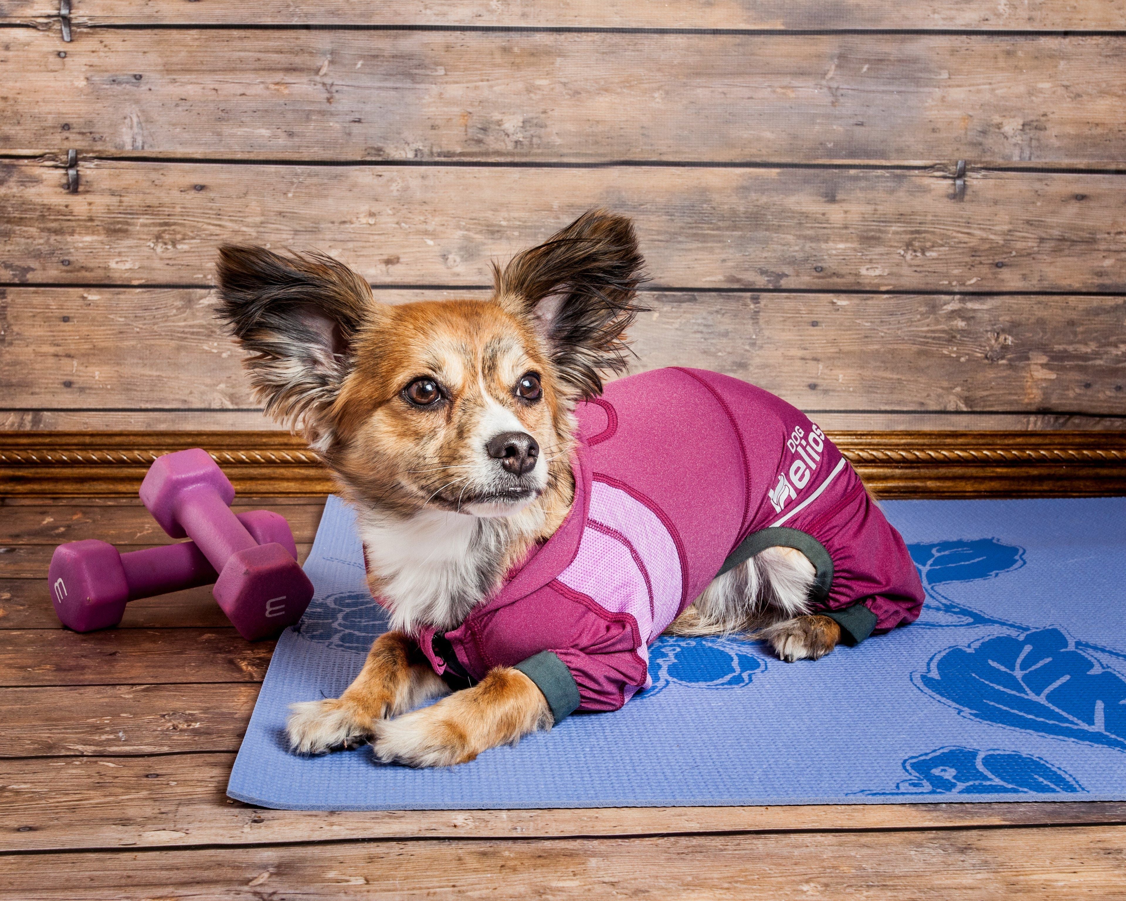 Dog Helios® 'Namastail' Lightweight 4-Way-Stretch Yoga Performance Dog Tracksuit Hoodie