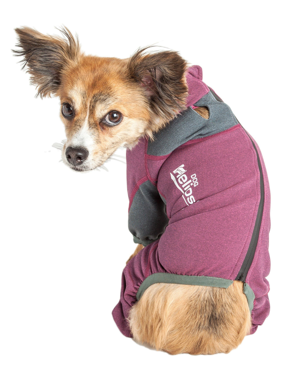 Dog Helios® 'Rufflex' Mediumweight 4-Way-Stretch Fitness Yoga Dog Tracksuit Jacket