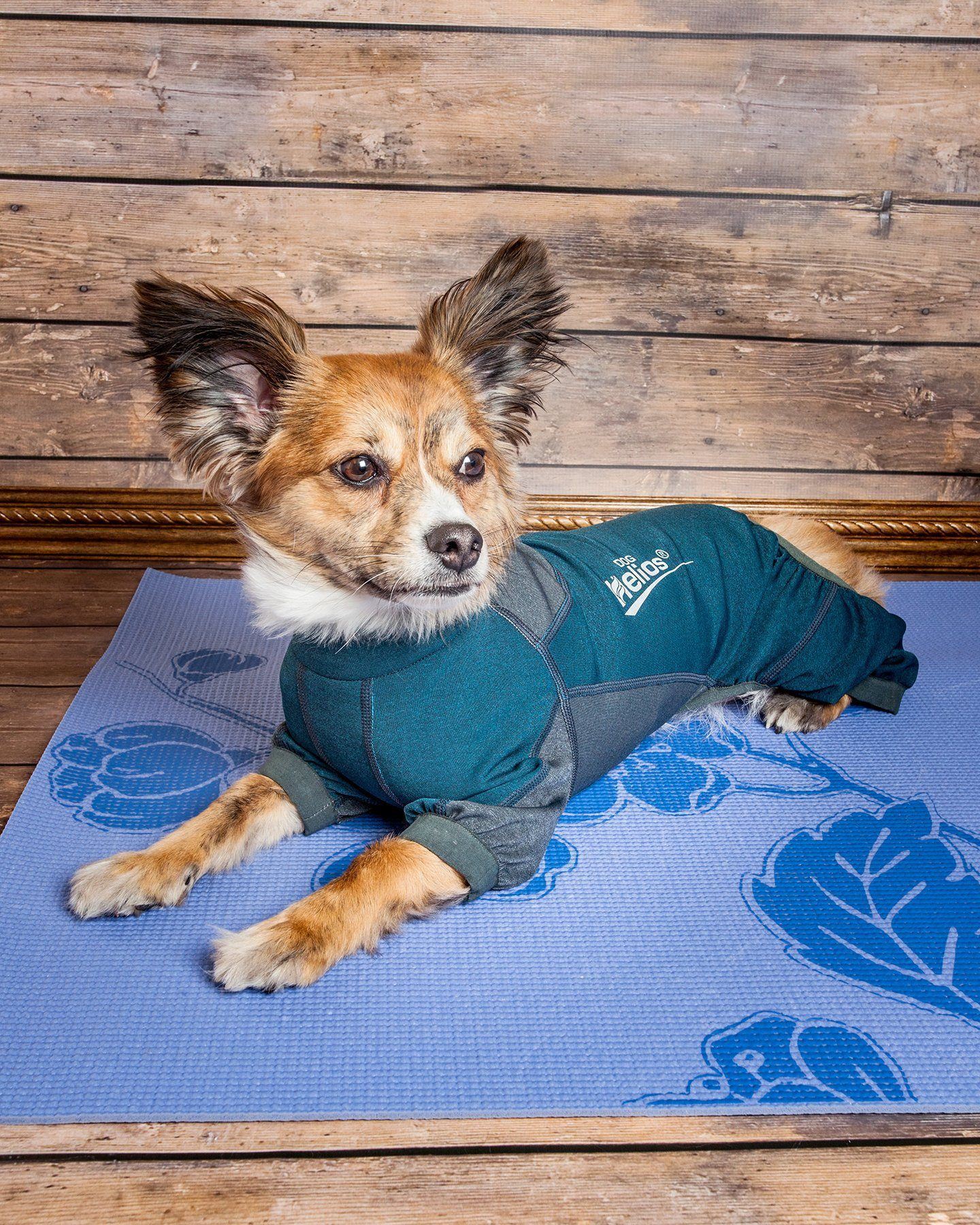 Dog Helios® 'Rufflex' Mediumweight 4-Way-Stretch Fitness Yoga Dog Tracksuit Jacket
