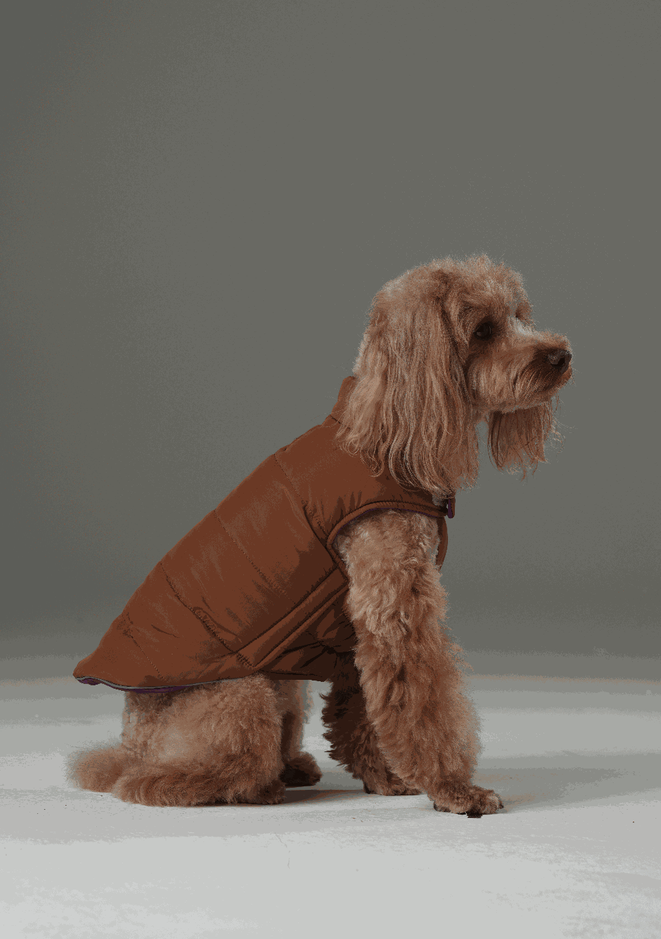 Pehom | Reversible Dog Vest Jacket - Purple Caramel