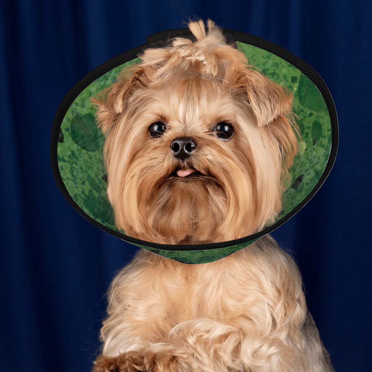 Sebastian & Clementine Green Painting Pet Elizabethan Collar
