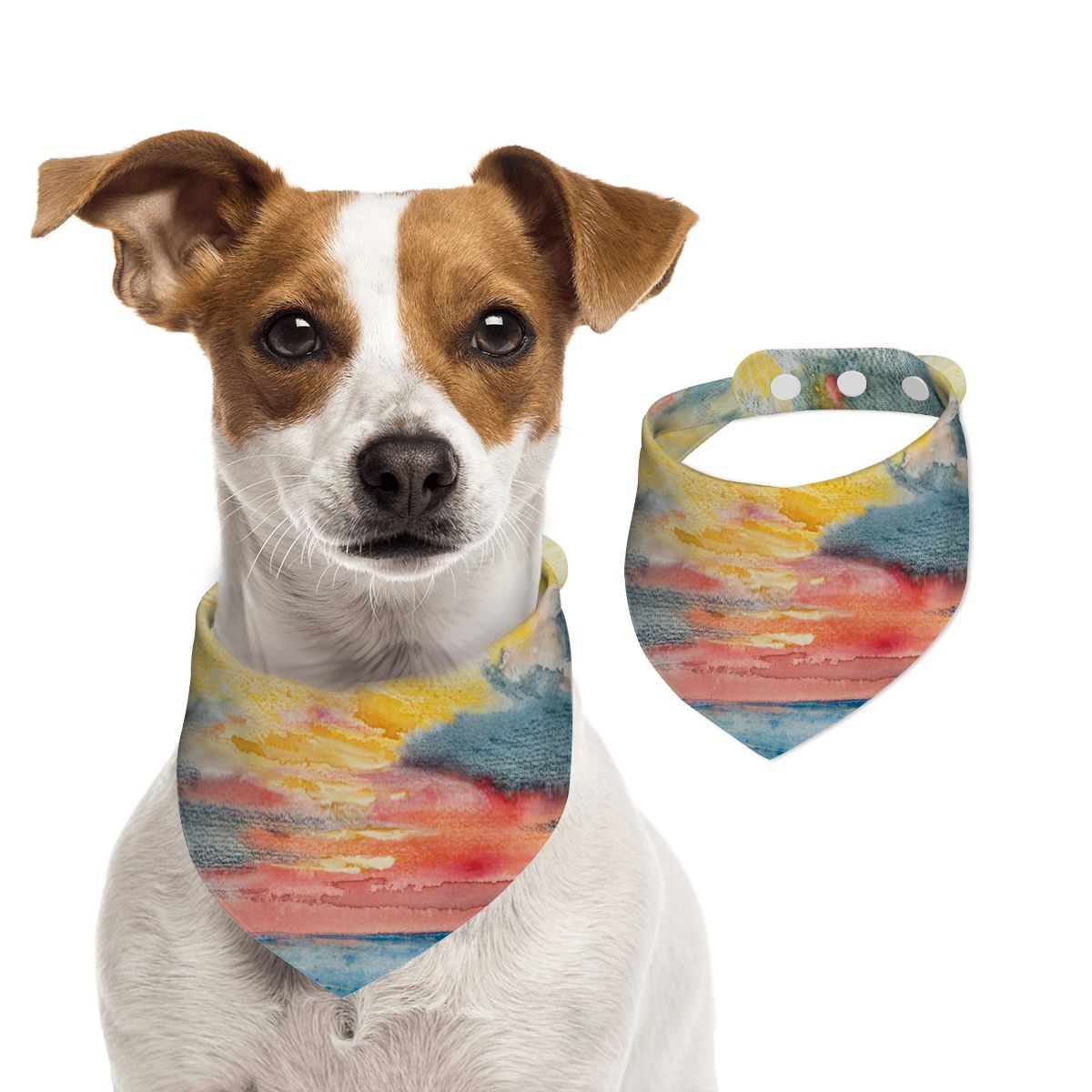 Sebastian & Clementine Sunset, Acapulco Pet Cotton Bandana