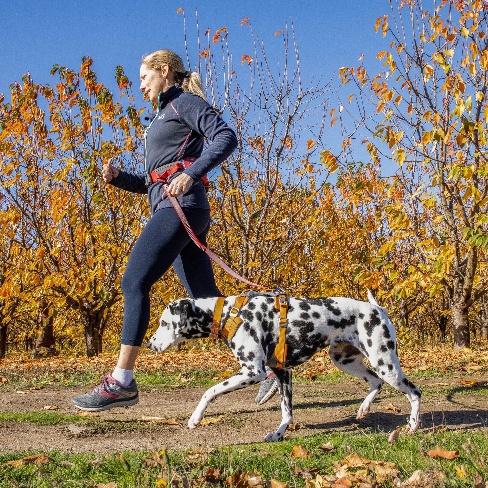 Journey Air Dog Pet Hiking Harness for Running & Walking