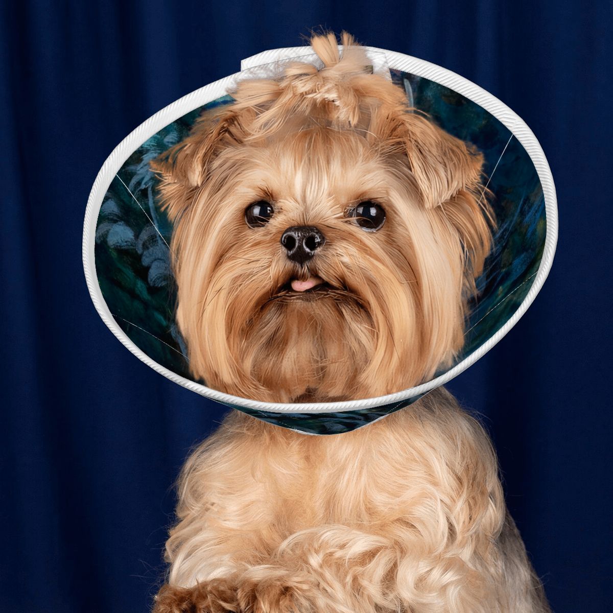 Sebastian & Clementine After-Glow Pet Elizabethan Collar