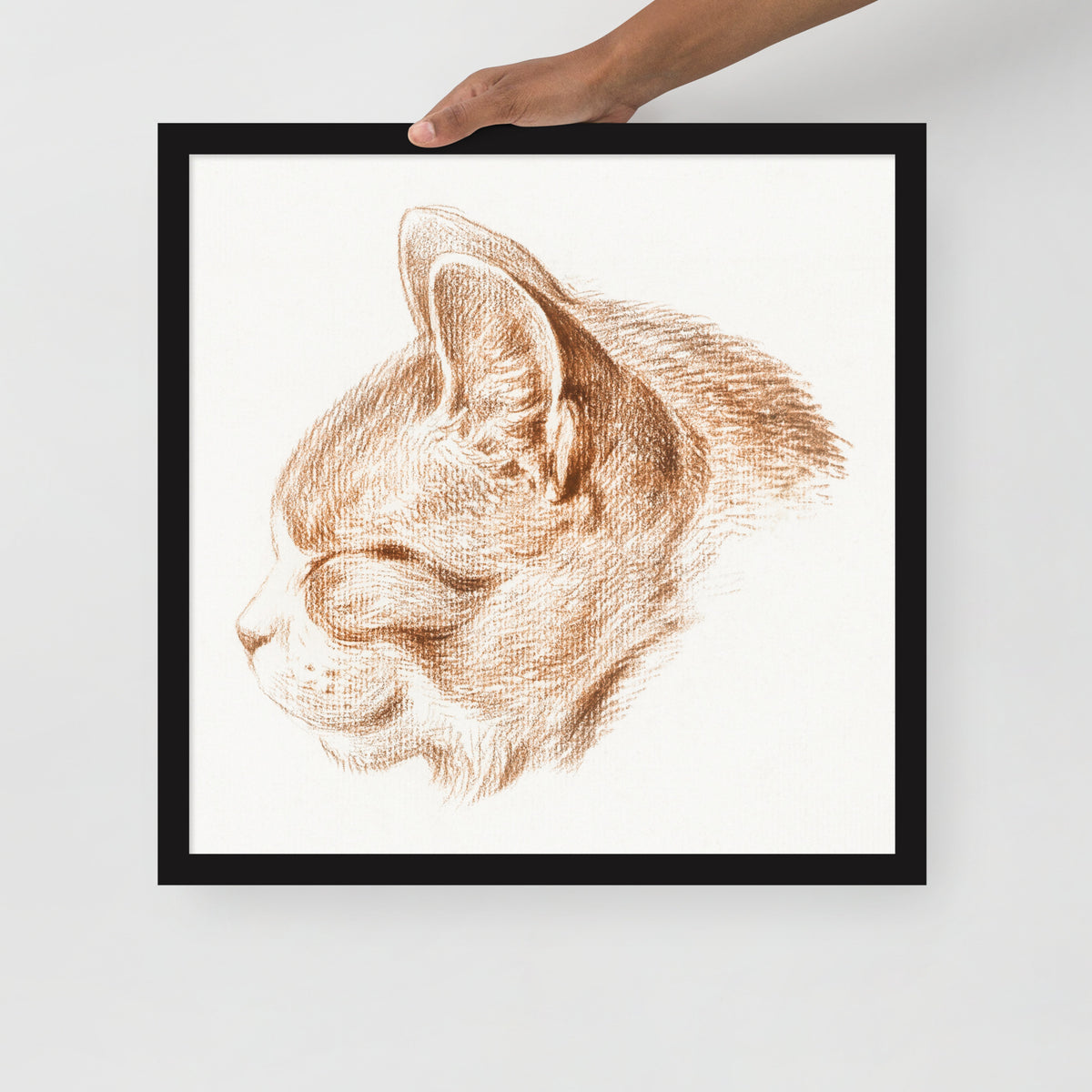 Sebastian & Clementine Sketch of Cat Premium Framed Poster