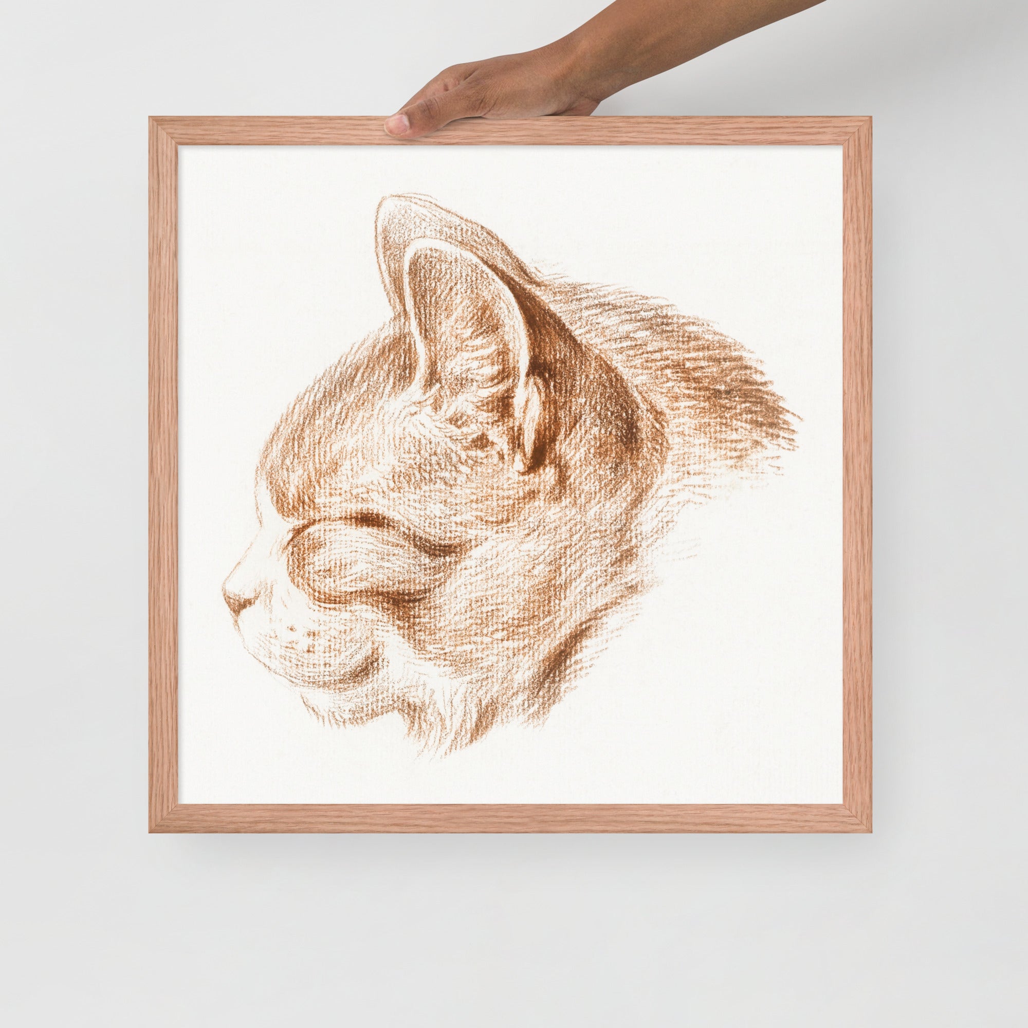 Sebastian & Clementine Sketch of Cat Premium Framed Poster