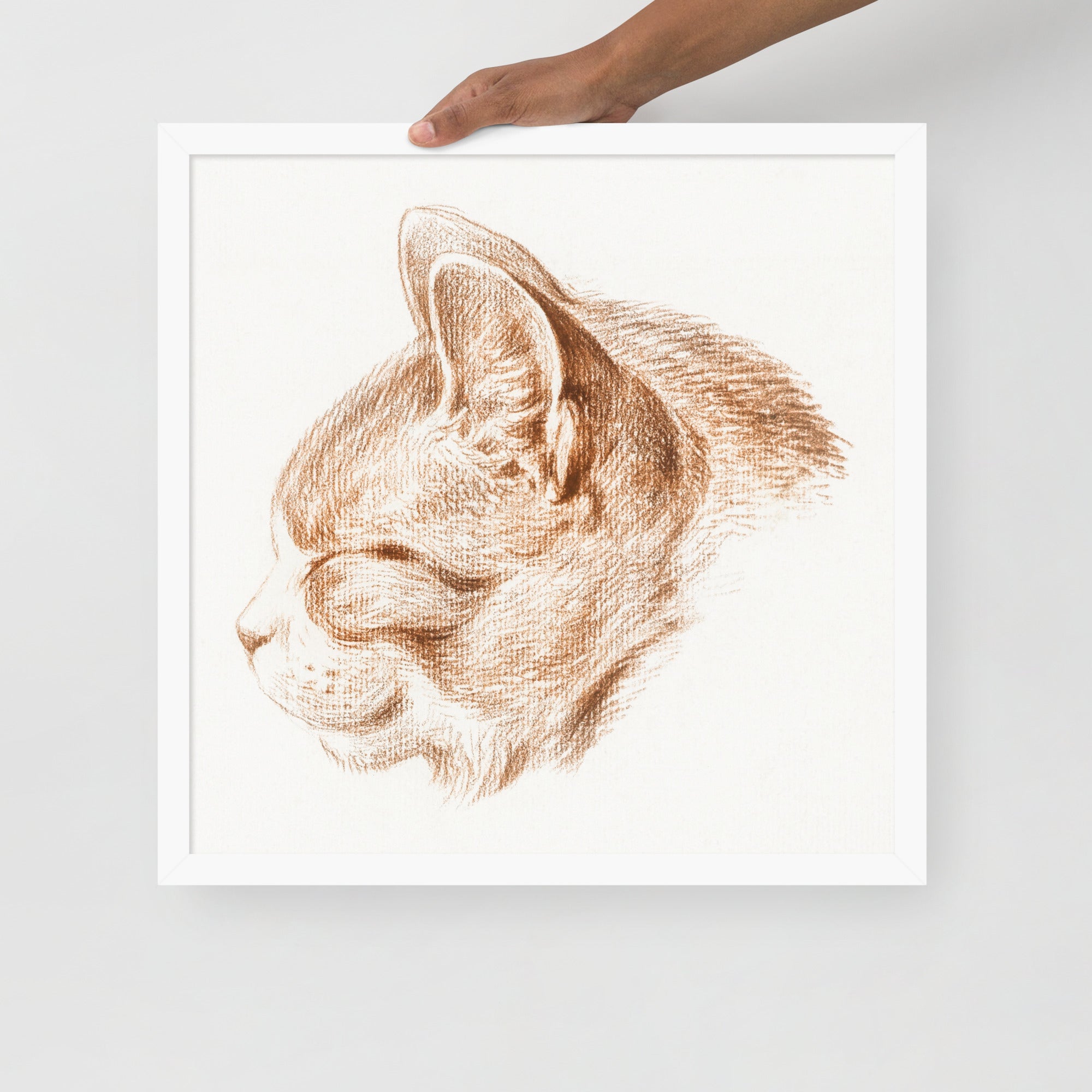 Sebastian & Clementine Sketch of Cat Premium Framed Poster
