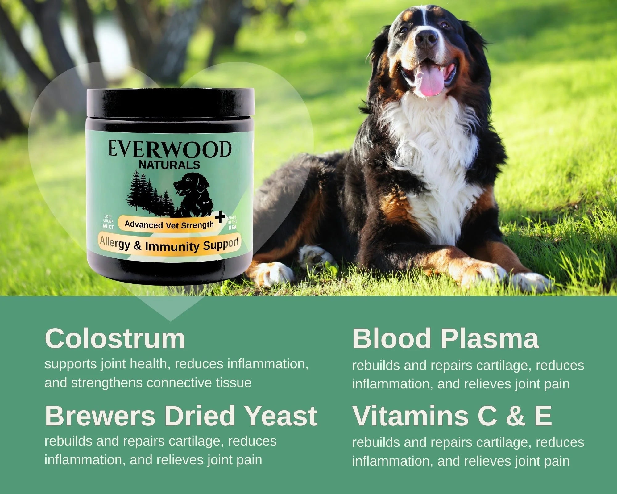 Everwood Naturals Allergy, Gut, & Immunity