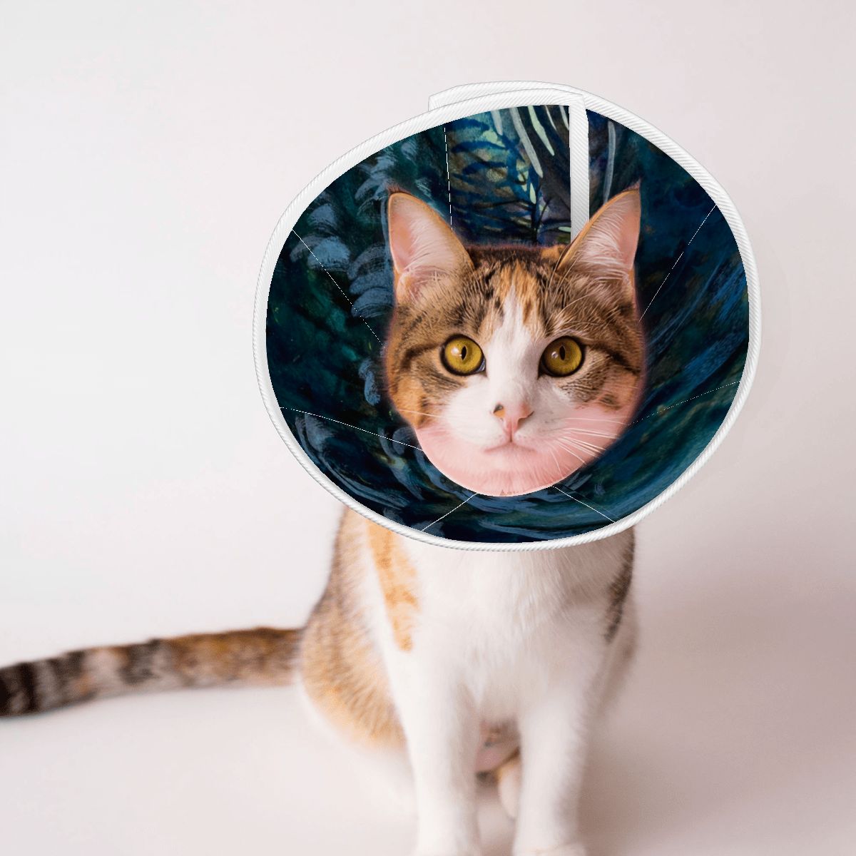 Sebastian & Clementine After-Glow Pet Elizabethan Collar