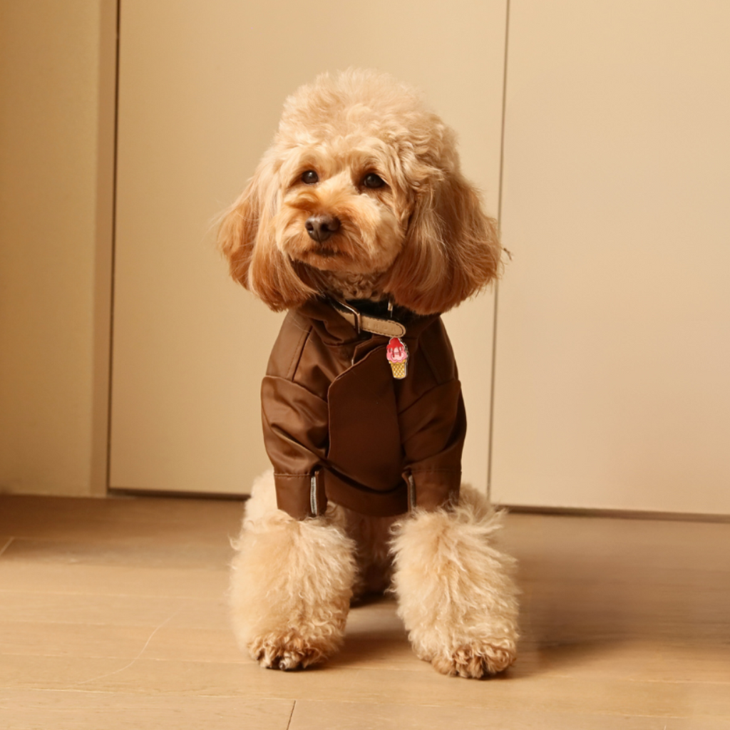 Pehom | Tribeca Adjustable Velcro Raincoat -  Choco