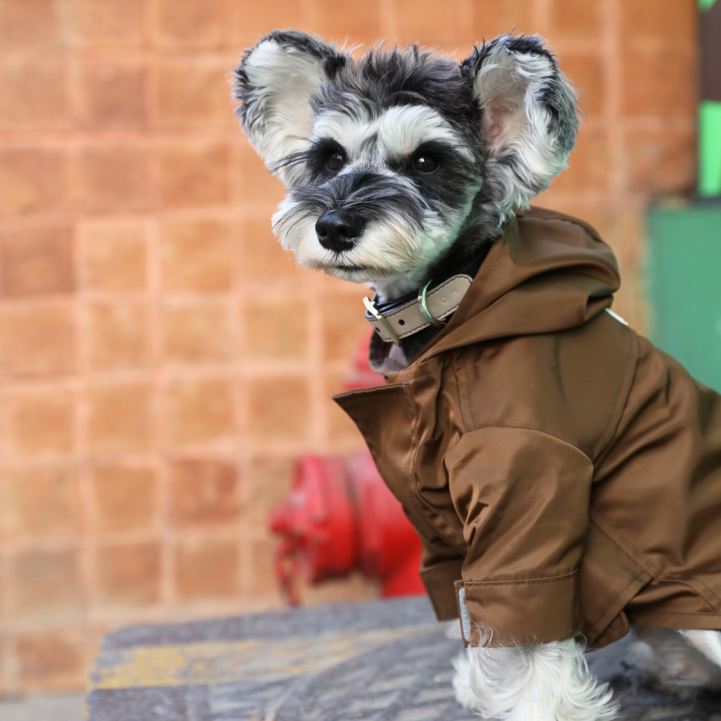 Pehom | Tribeca Adjustable Velcro Raincoat -  Choco