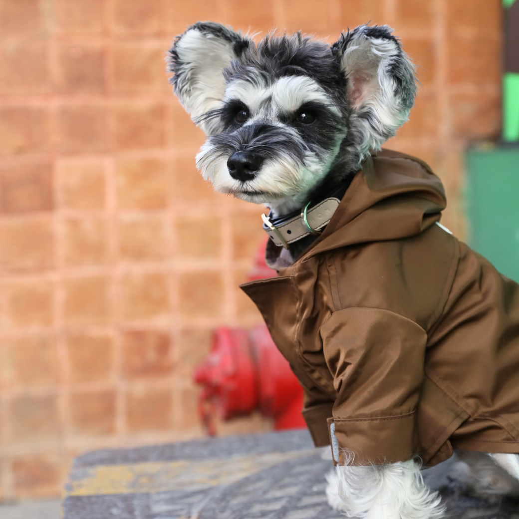 Pehom | Tribeca Adjustable Velcro Raincoat -  Choco