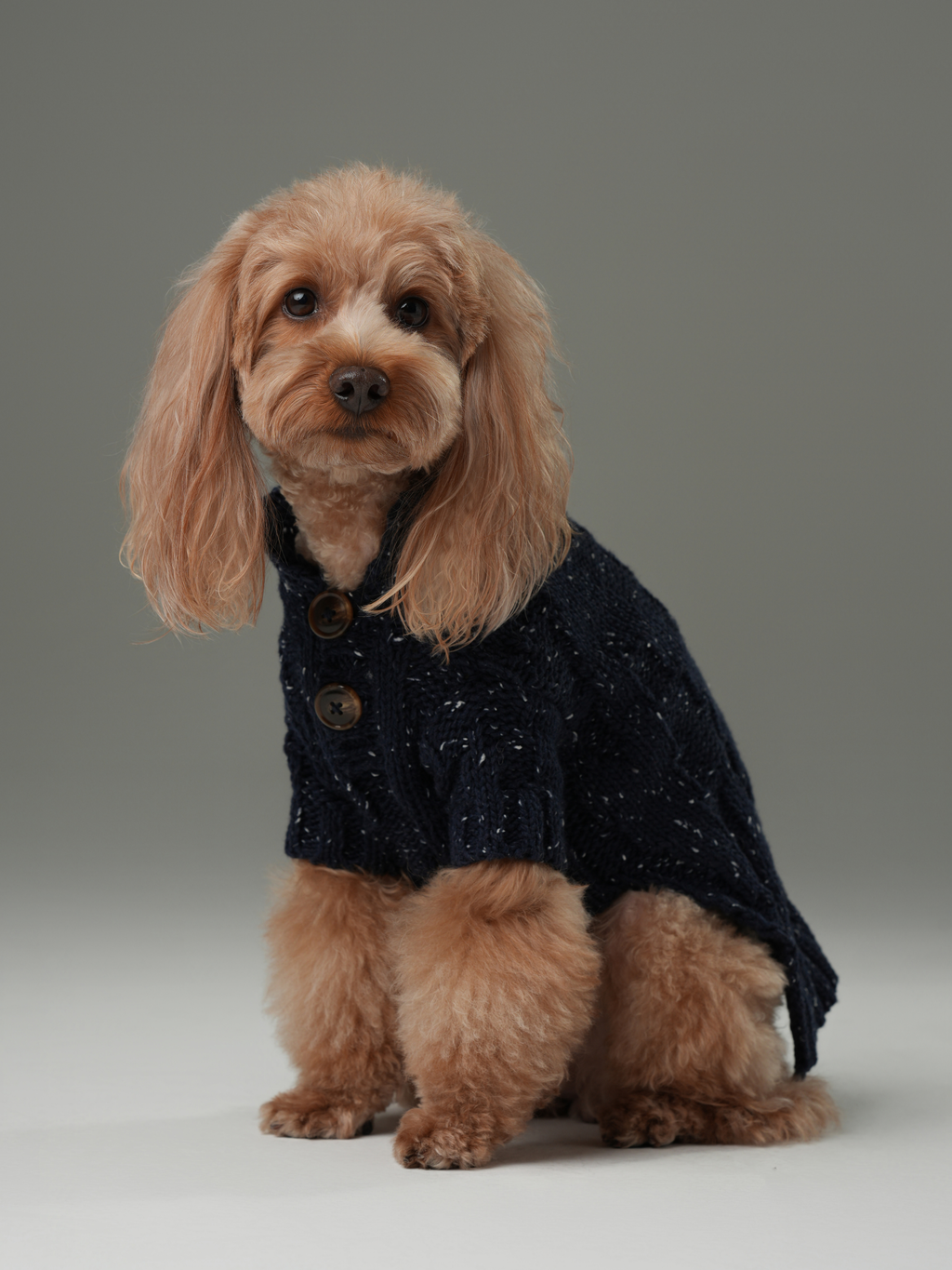 Pehom | Glacier Pet Sweater - Navy
