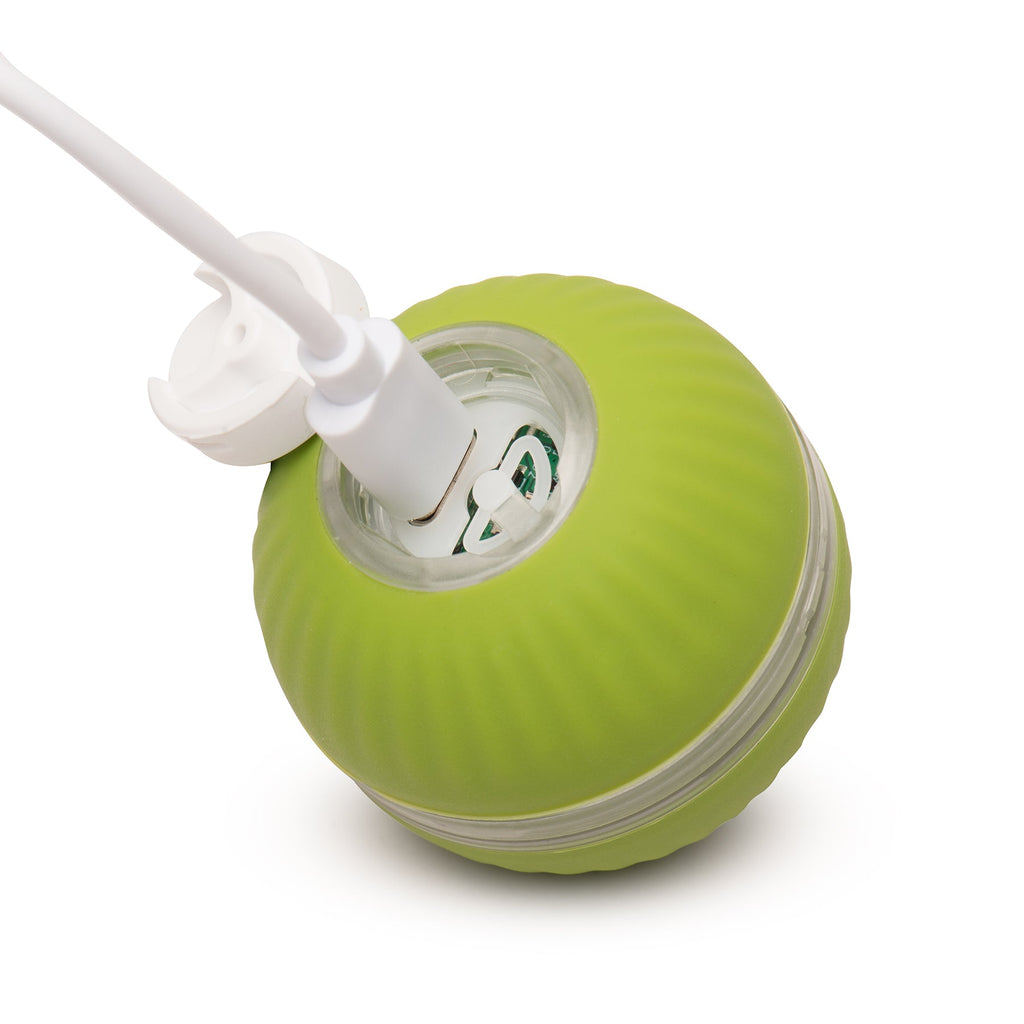Green tennis ball-shaped device with a white cord on a white background.