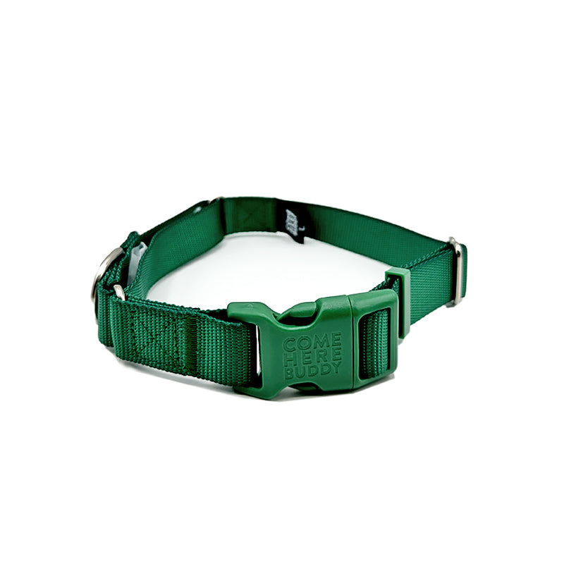 Come Here Buddy Martingale Dog Collar