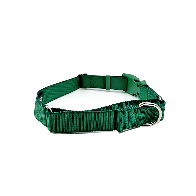 Come Here Buddy Martingale Dog Collar