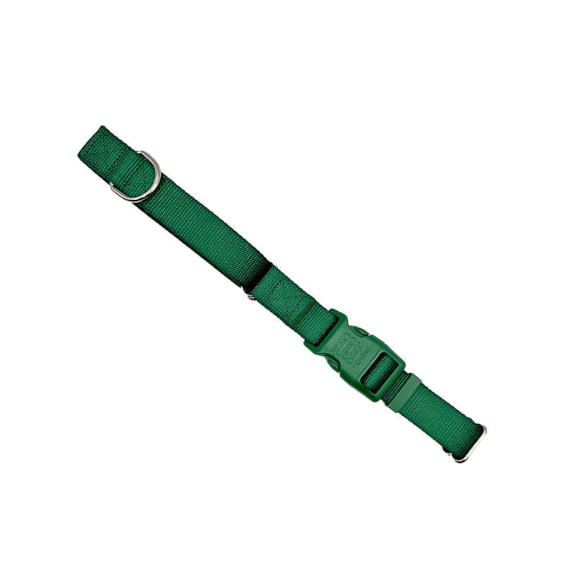 Come Here Buddy Martingale Dog Collar