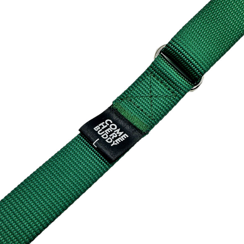 Come Here Buddy Martingale Dog Collar