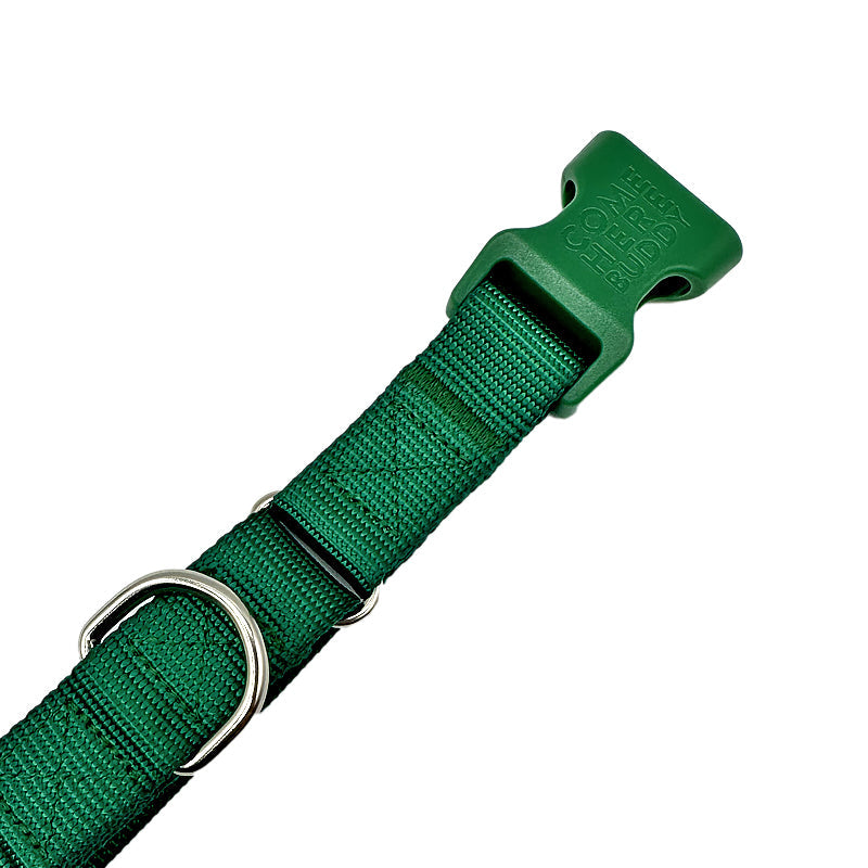 Come Here Buddy Martingale Dog Collar