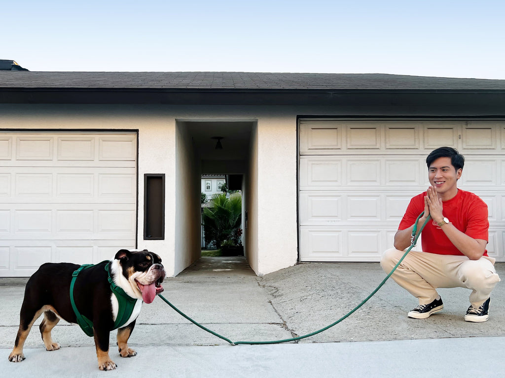 Come Here Buddy Kismet Dog Leash