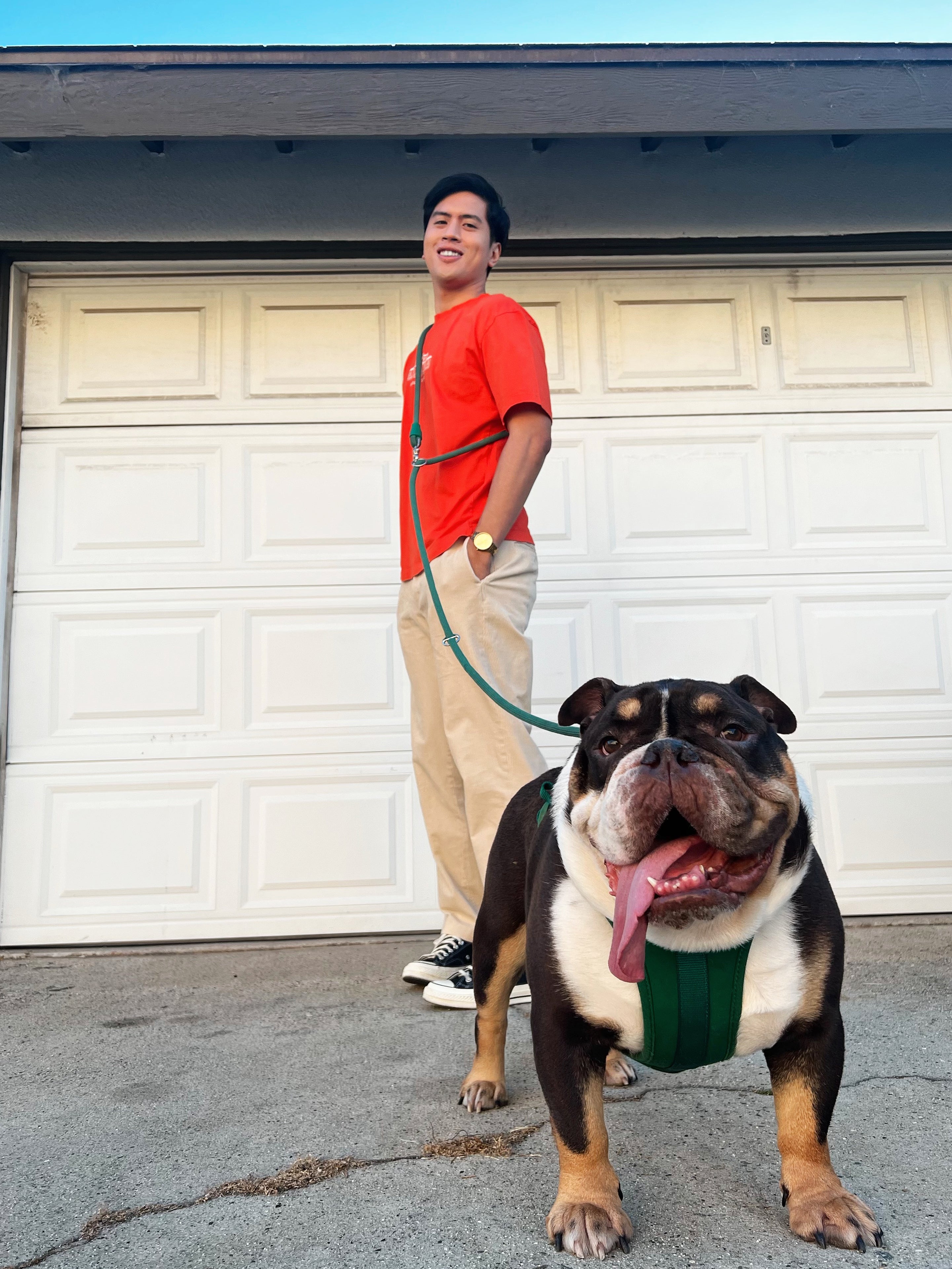 Come Here Buddy Kismet Dog Leash