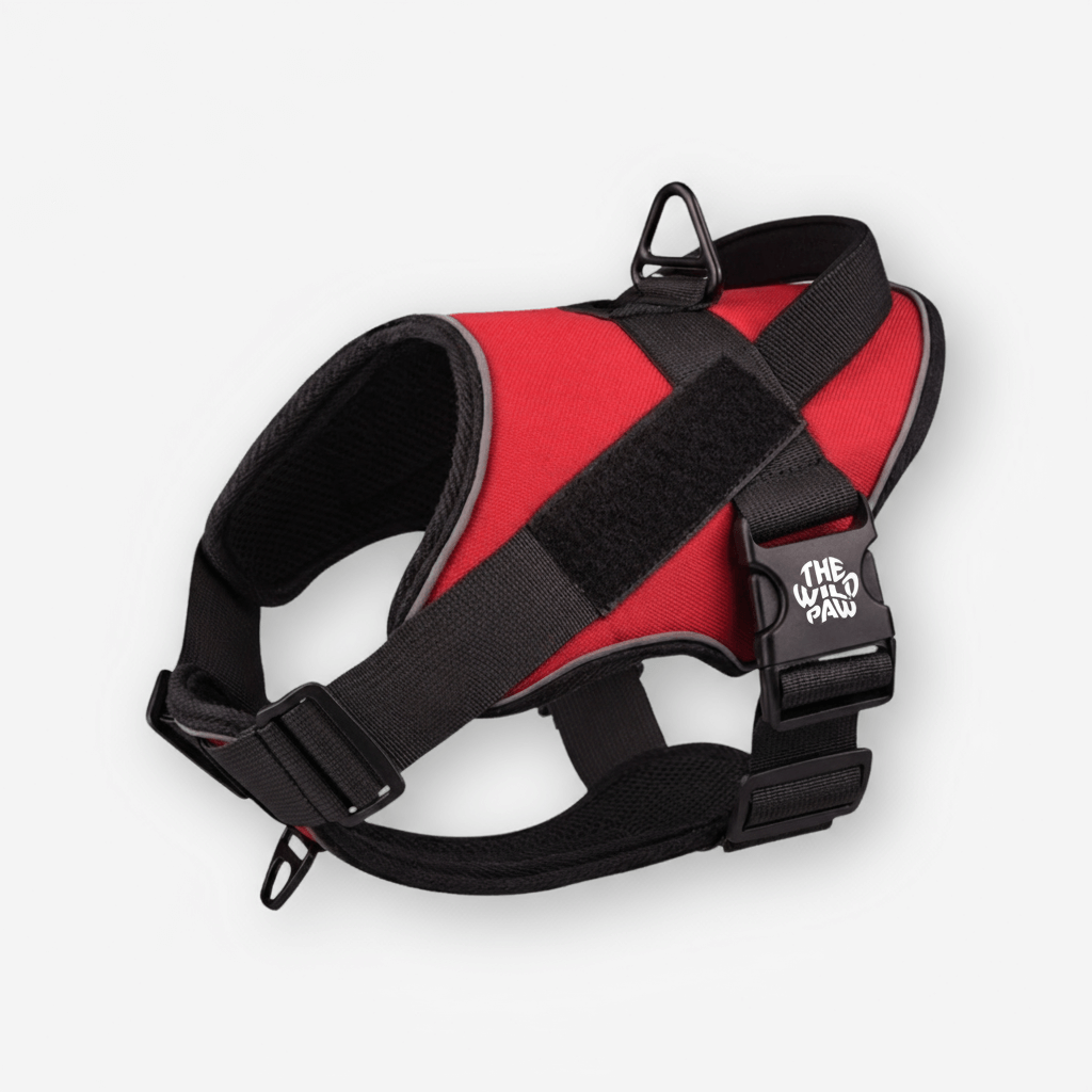 The Wild Paw Fiery Red TrailBlaze Tactical Harness