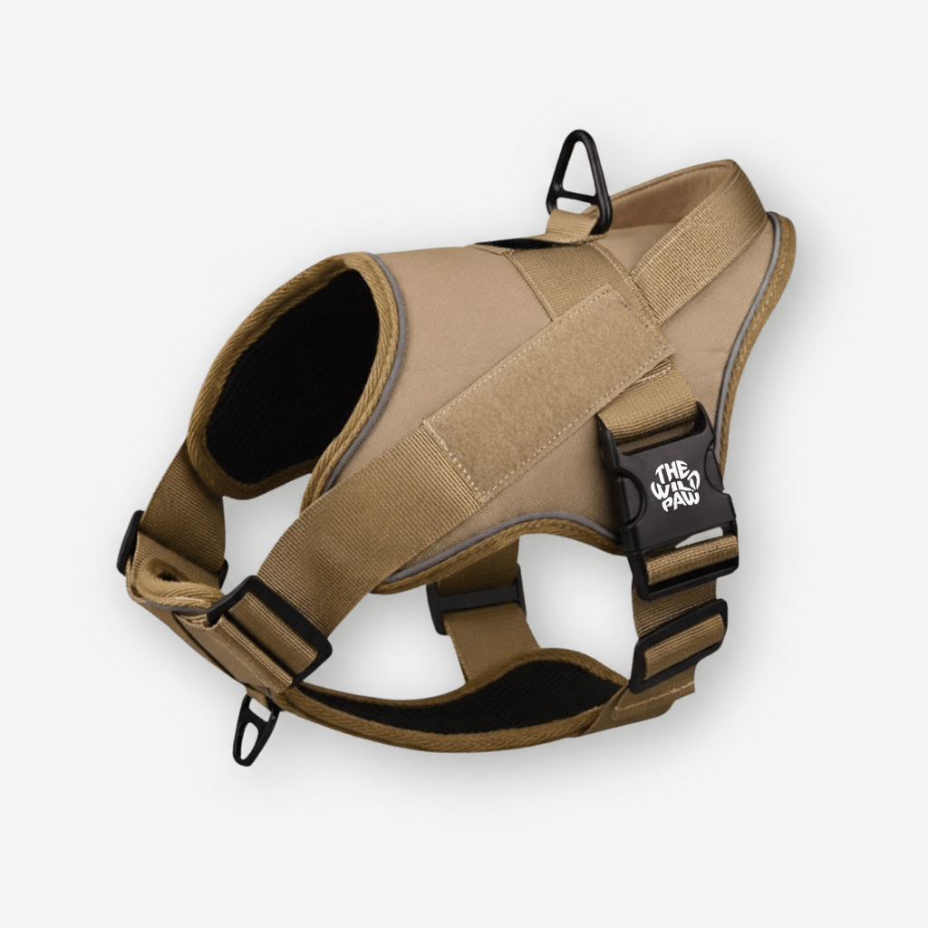 The Wild Paw Camel TrailBlaze Tactical Harness