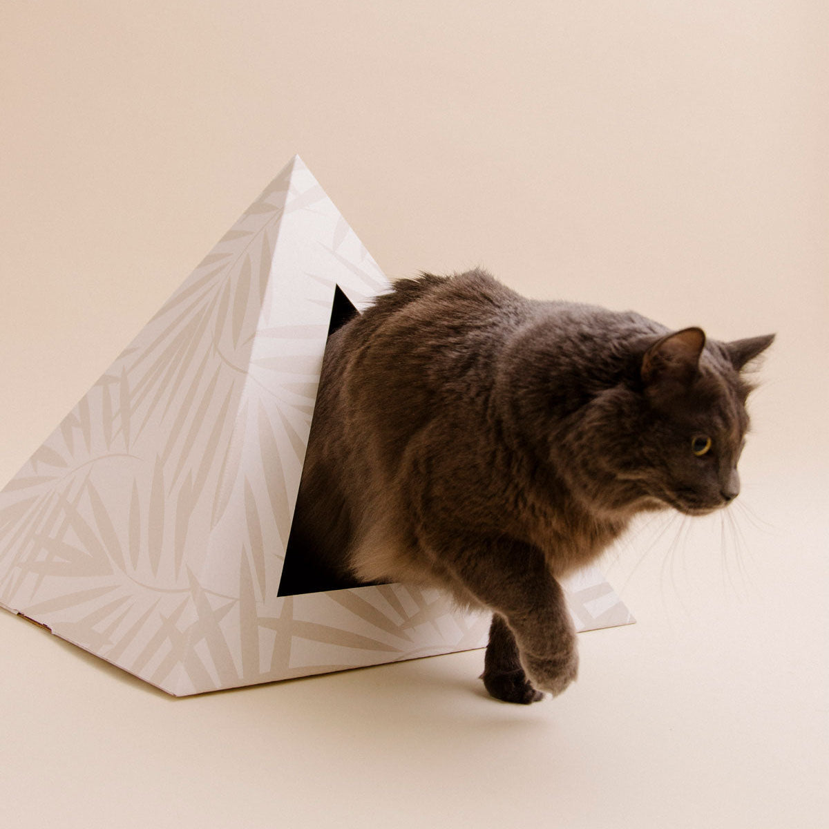 'Neutral Palm' Cardboard Cat Pyramid