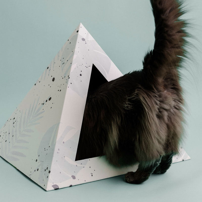 'Oasis' Cardboard Cat Pyramid