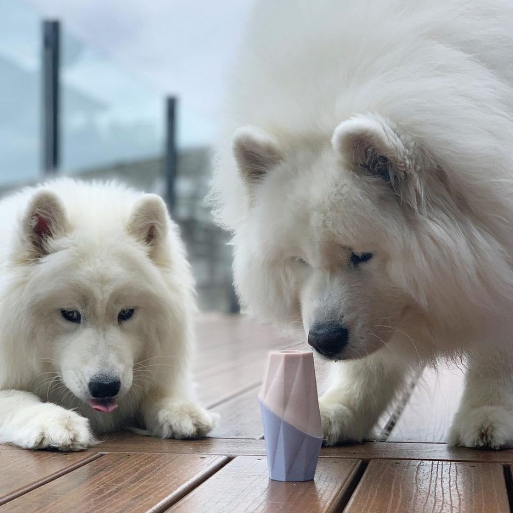Up Dog | The Ubbe Modern Dog Licking Toy