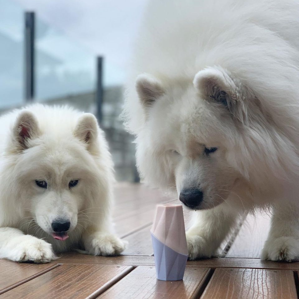 Up Dog | The Ubbe Modern Dog Licking Toy