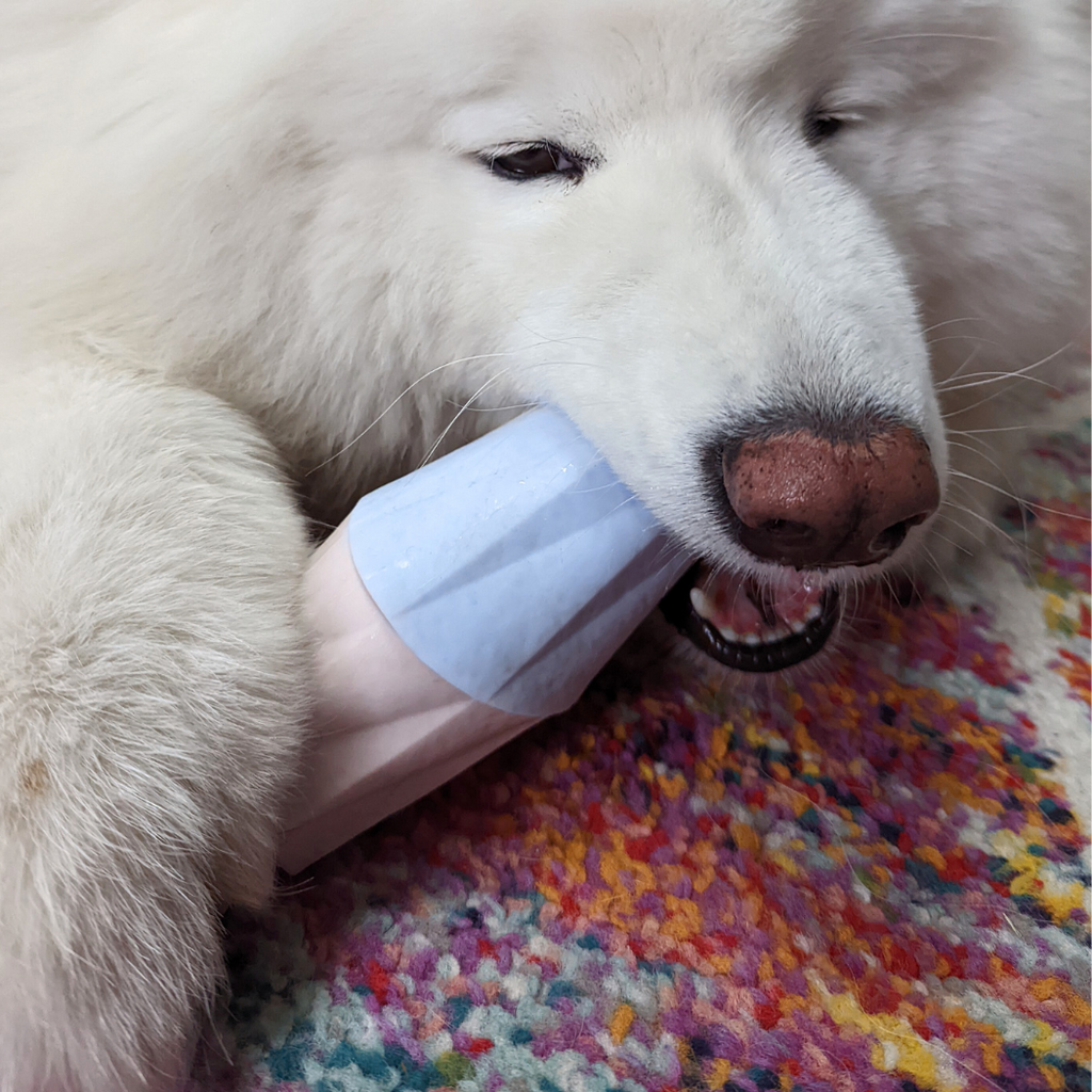 Up Dog | The Ubbe Modern Dog Licking Toy