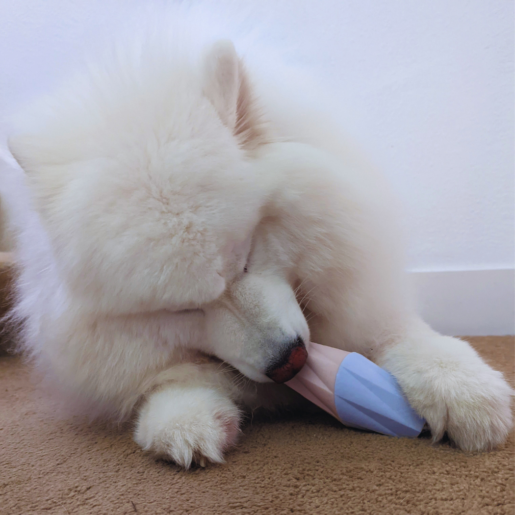 Up Dog | The Ubbe Modern Dog Licking Toy
