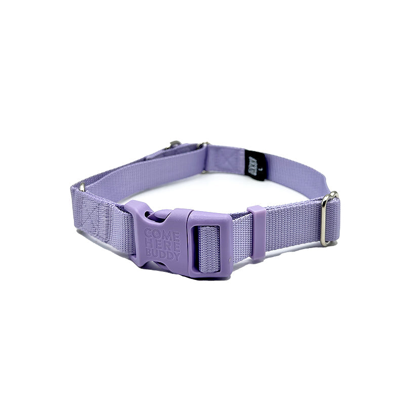 Come Here Buddy Martingale Dog Collar