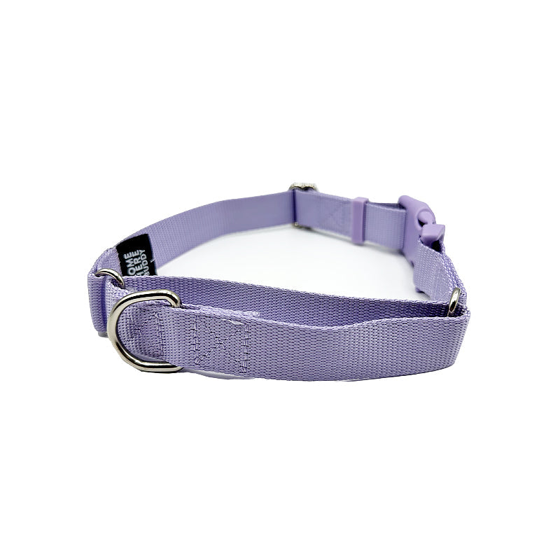 Come Here Buddy Martingale Dog Collar