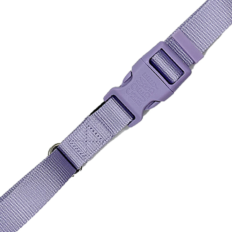Come Here Buddy Martingale Dog Collar
