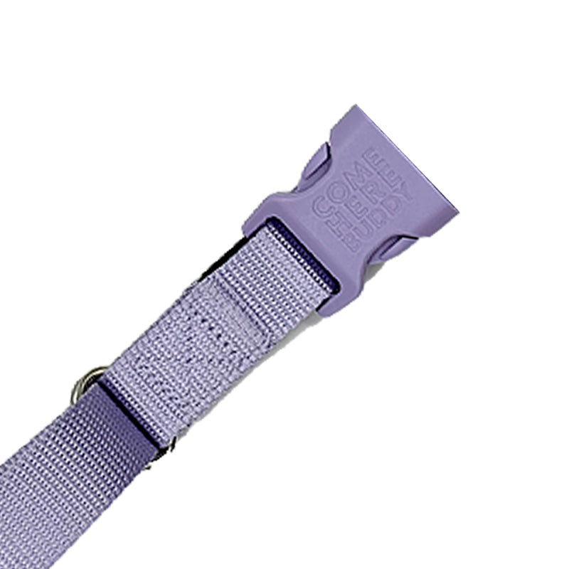 Come Here Buddy Martingale Dog Collar