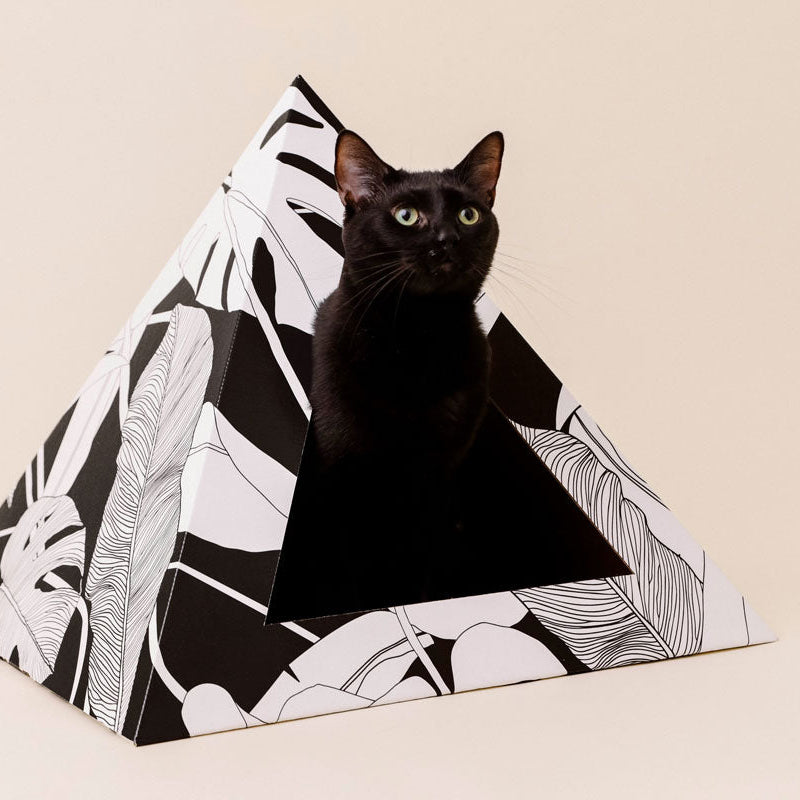 'Dark Paradise' Cardboard Cat Pyramid